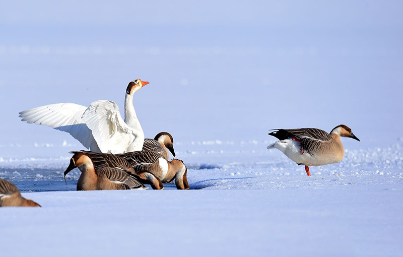 5db8eebc577c6.jpg 02.jpg