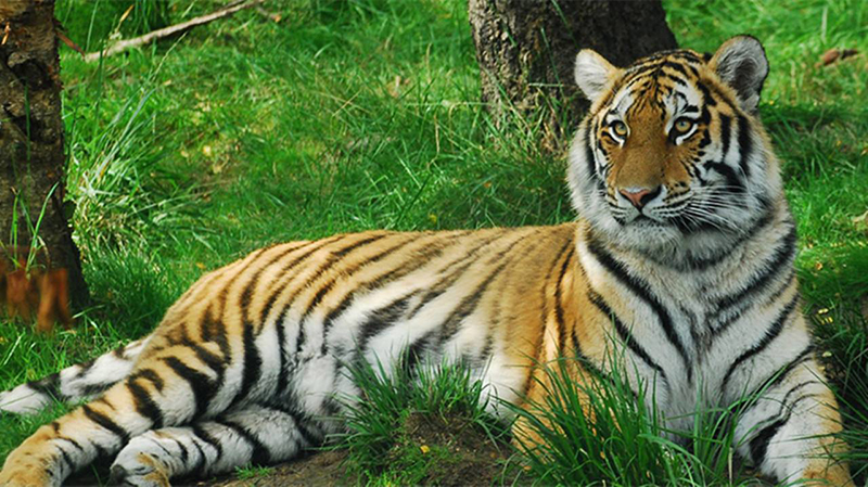 5db8eecac4cd9.jpg 03.jpg