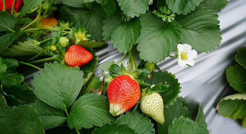 職場：團隊執行力太差，這4點關鍵原因你有注意到嗎？